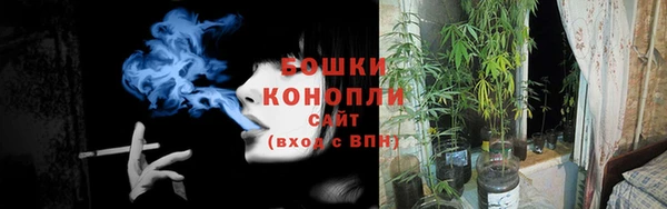 дурь Медвежьегорск