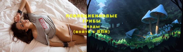 экстази Медногорск