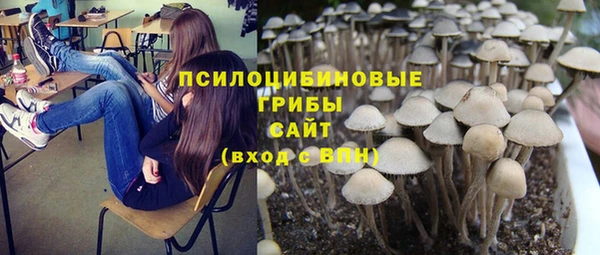 экстази Медногорск