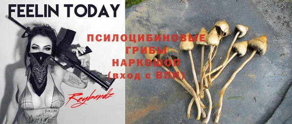 соль курить ск Белая Холуница