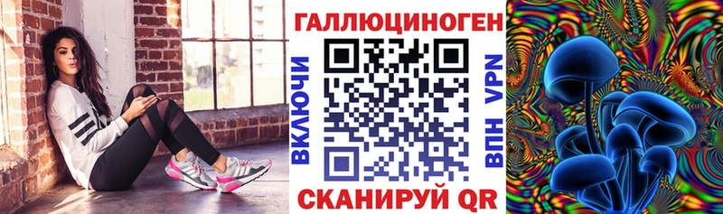 Псилоцибиновые грибы Psilocybine cubensis  Шумиха 